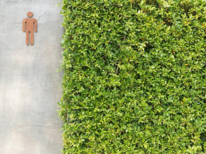 Il Giardino Pubblico
