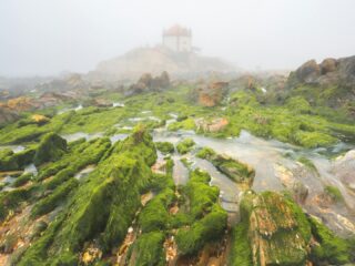 Vila Nova de Gaia