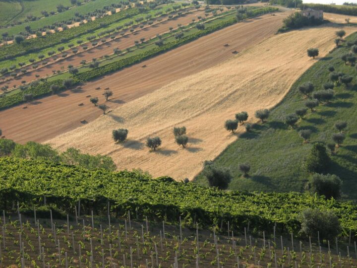 Valle del Fischio
