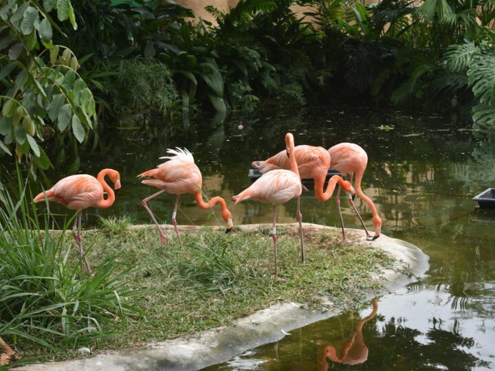 Zoo Hamm