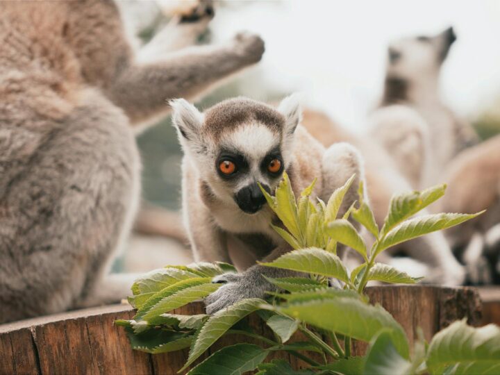Zoo Hamm