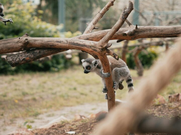 Zoo Hamm