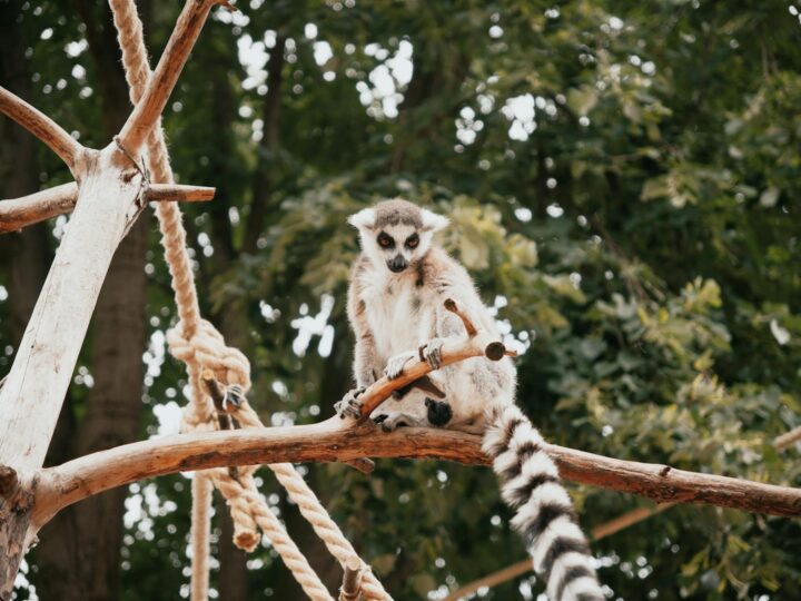 Zoo Hamm