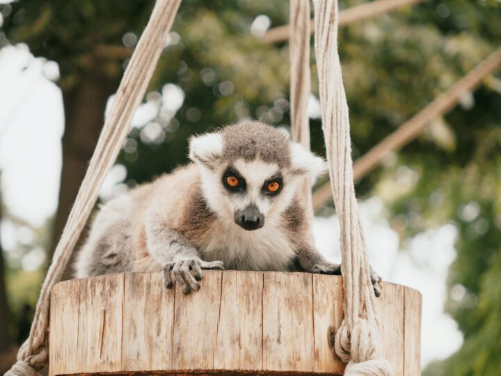 Zoo Hamm