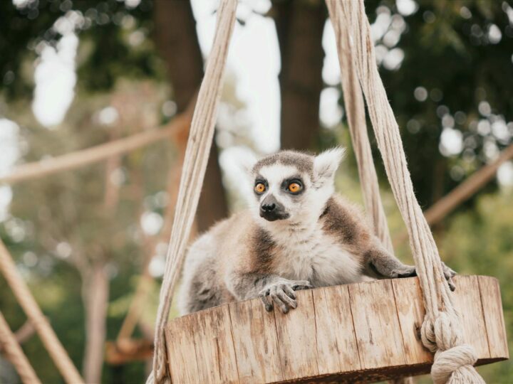 Zoo Hamm