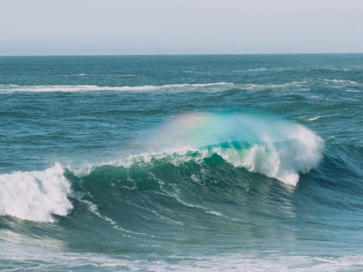 Aqua Mundo