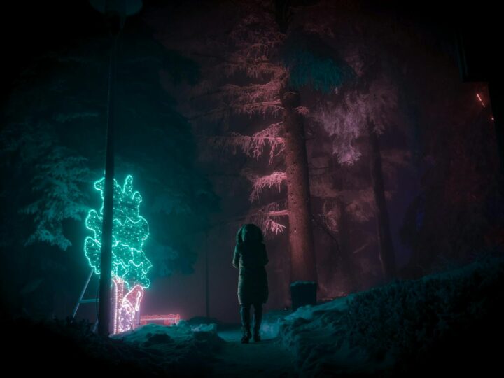Fairytale Forest