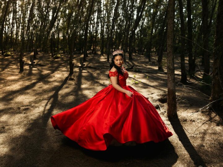 Fairytale Forest