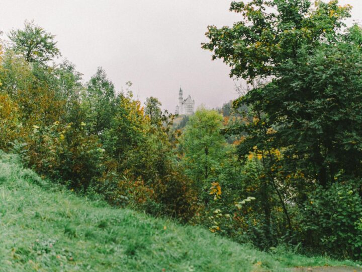 Fairytale Forest