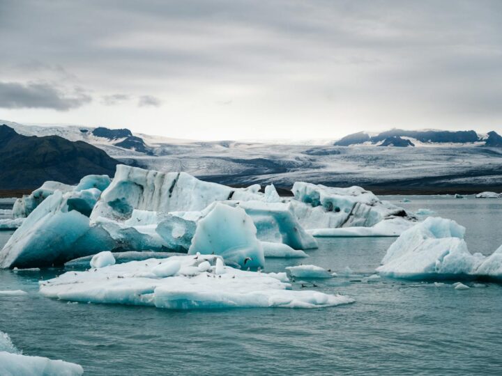 Visitas en barco y cafetera en la laguna glaciar de Jkulsrln