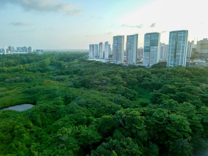 Nova Fortaleza