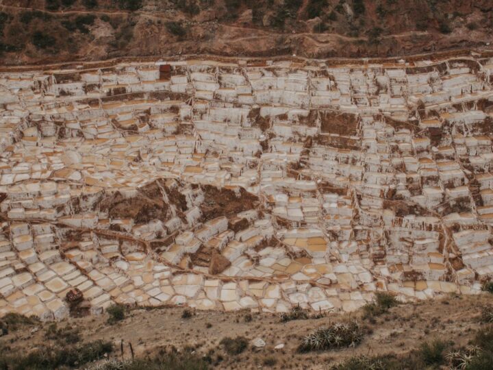 Parque Salt Hill