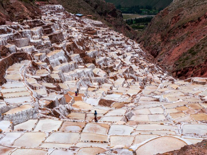 Parque Salt Hill