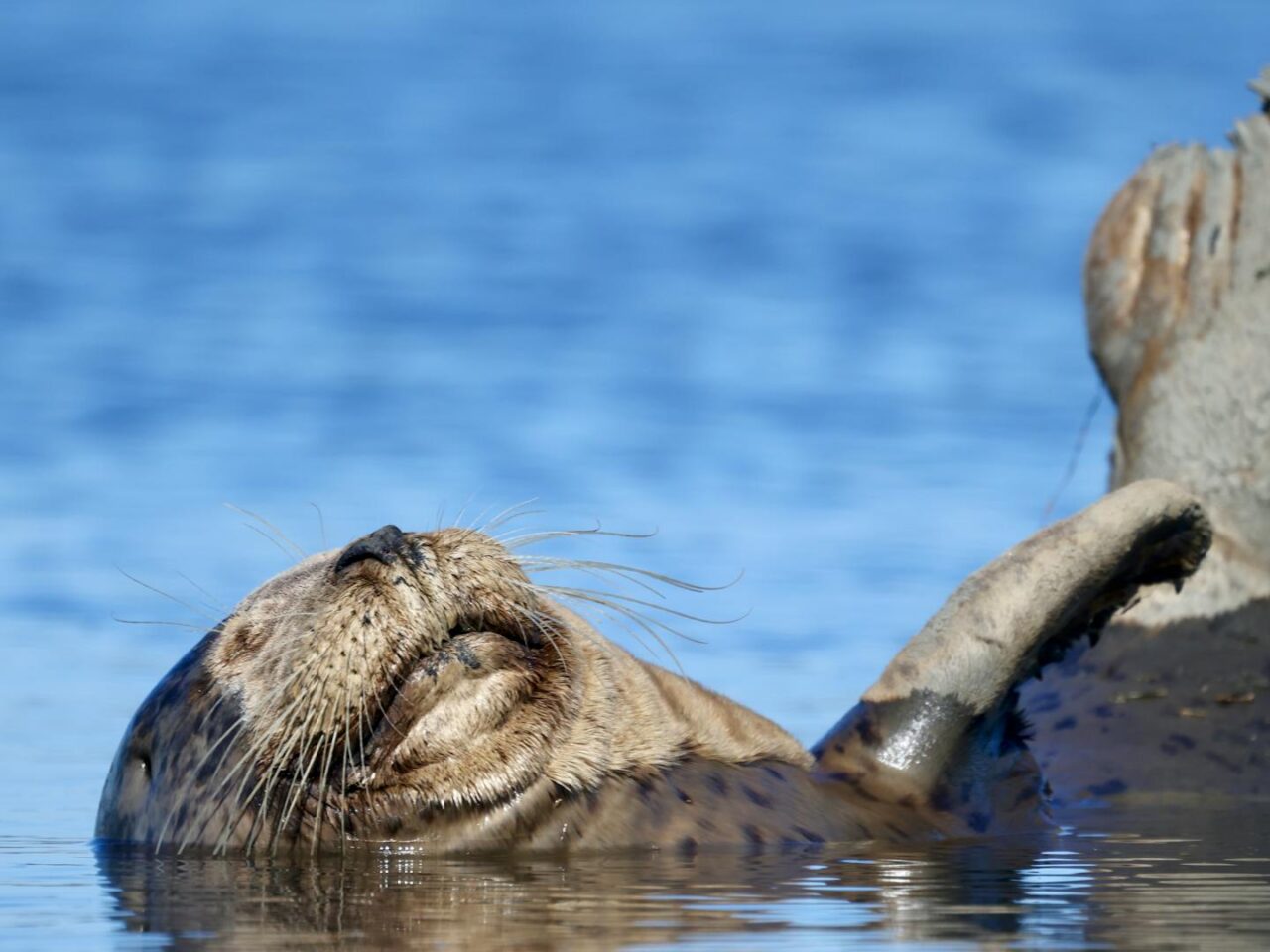 Visita Slough: 10 principales atracciones y lugares para ver - 2025