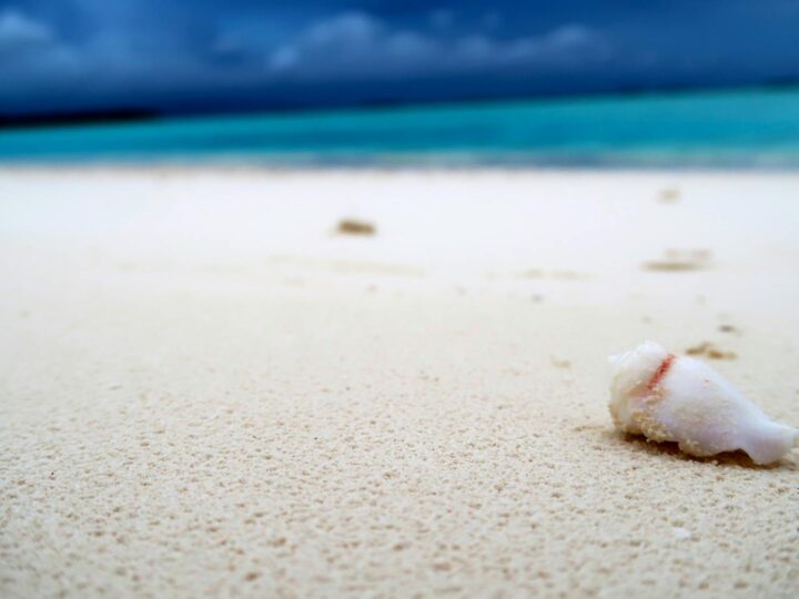 Parc de Strand