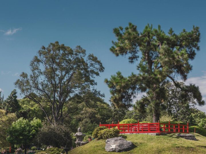 O Jardim Suspenso