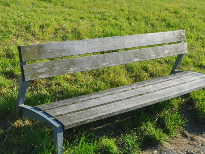 Upton Country Park