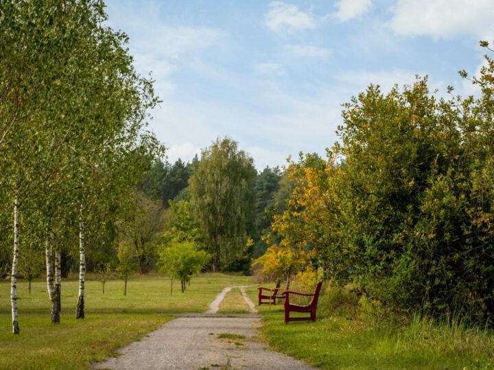 Whitecliff Harbourside Park