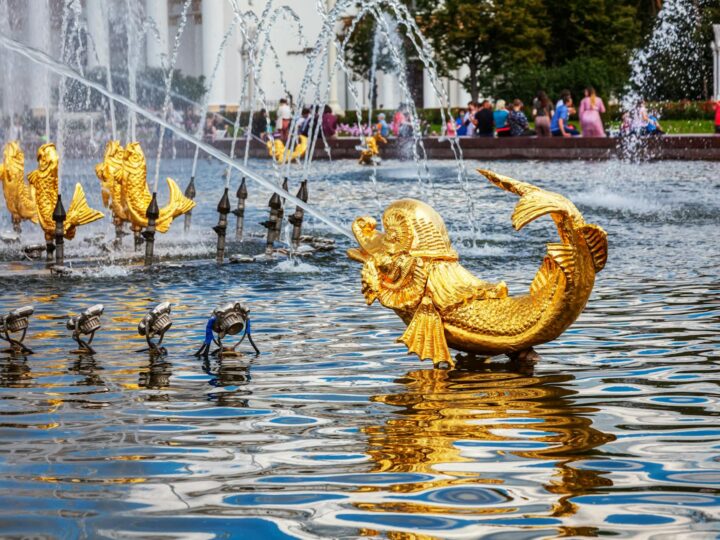 Duy Park