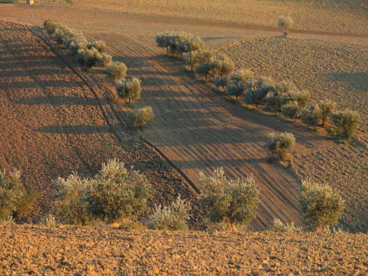 Borgo San Giuliano