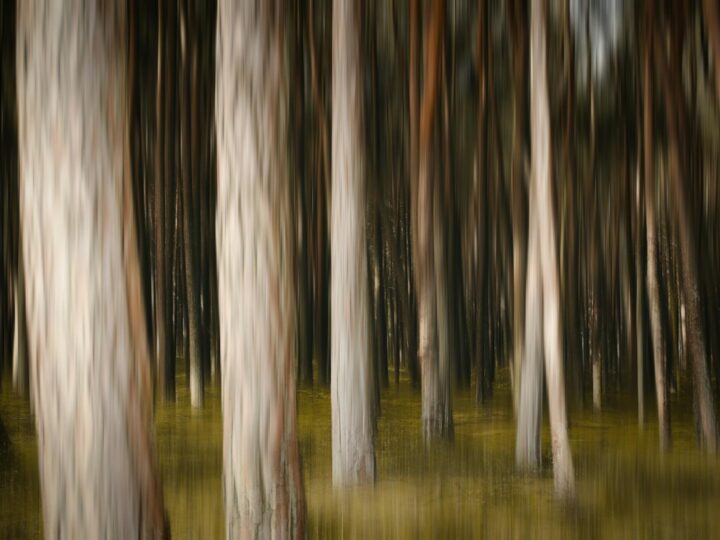 Bosc Vertical Matar