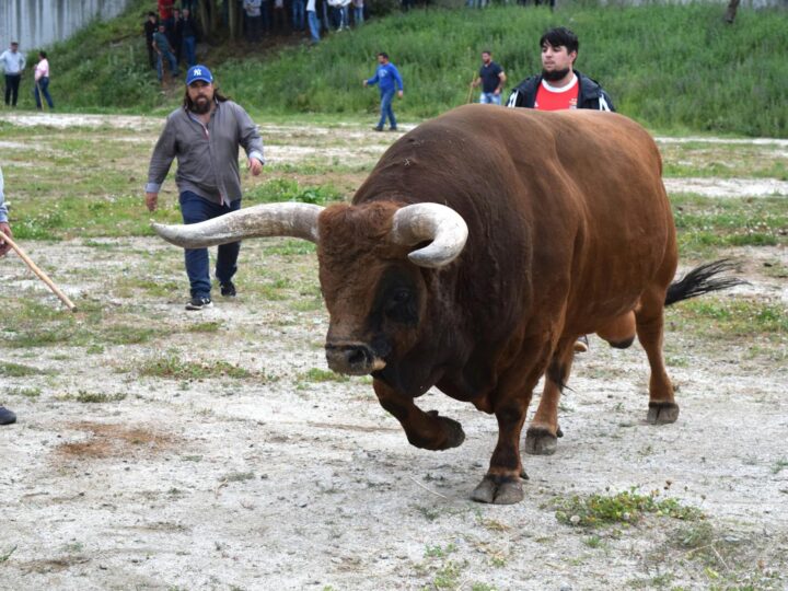 La ferme pdagogique de Braga