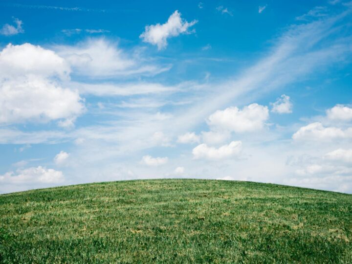 Buile Hill Park