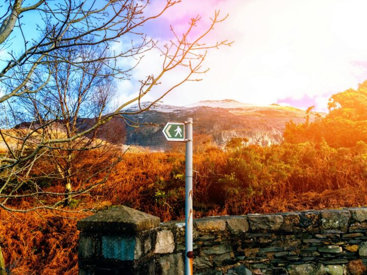 Buile Hill Park