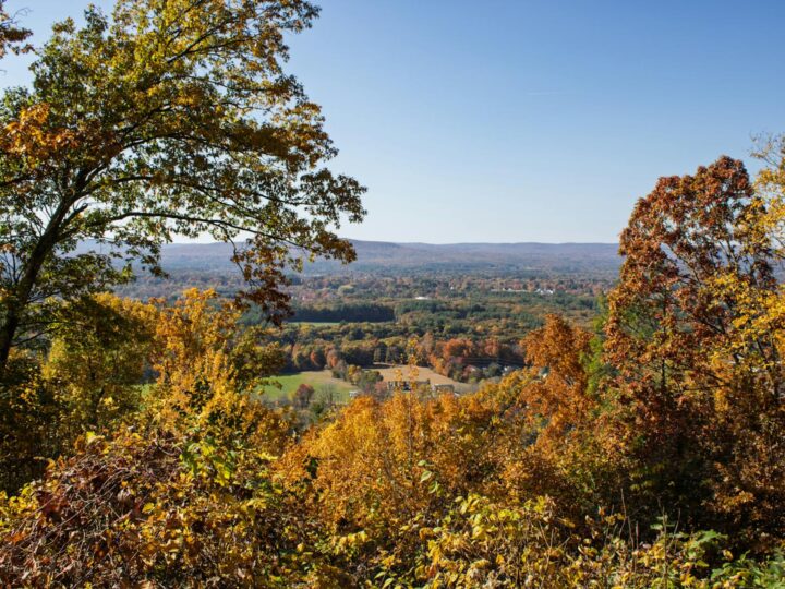 Buile Hill Park