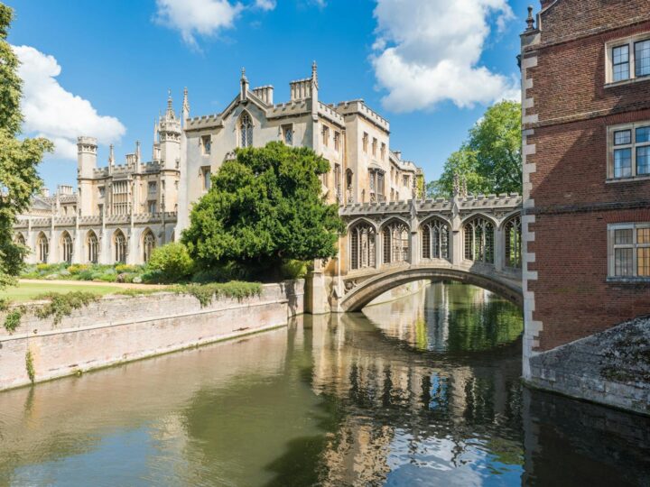 Orto Botanico dellUniversit di Cambridge