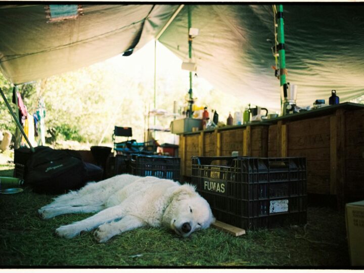 Camp de Mart