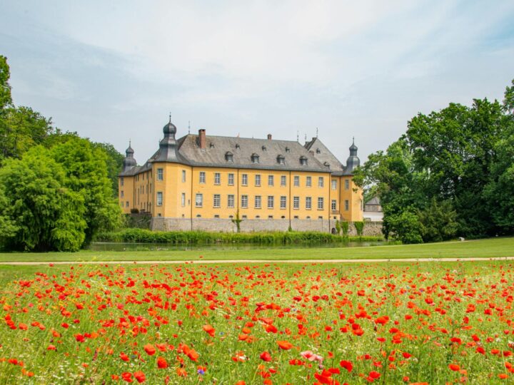 Castillo Museo de los Piast de Silesia