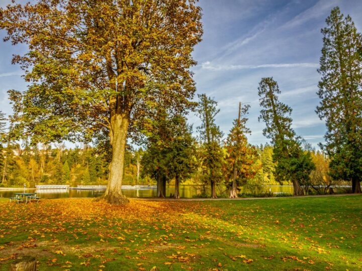 Park Stanowy Clark Reservation