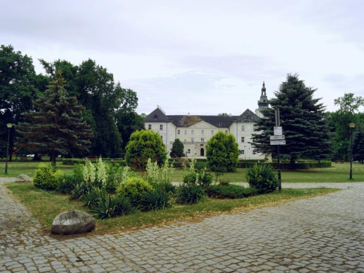 Parque Cobtree Manor