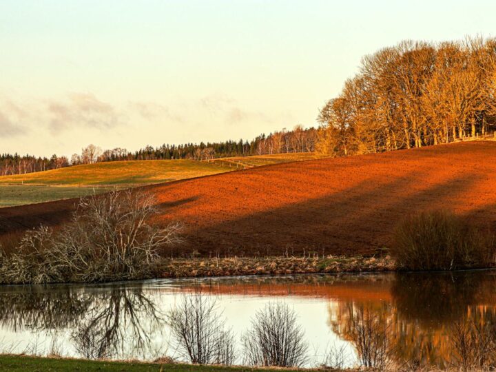 Park krajobrazowy Cudmore Grove
