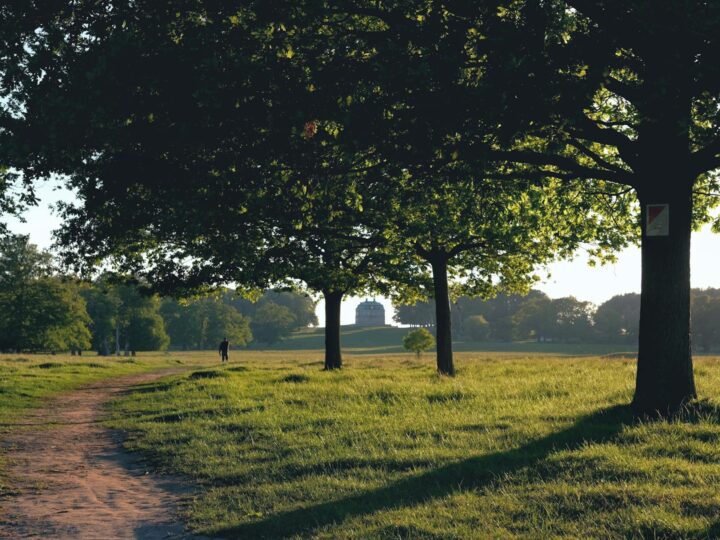 Park krajobrazowy Cudmore Grove