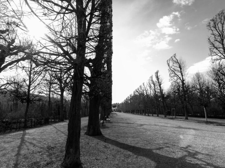 Parco Europeo
