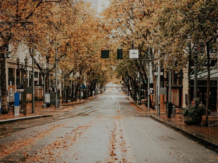 Fraispertuis City