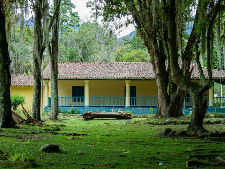 Casa do Cirurgio