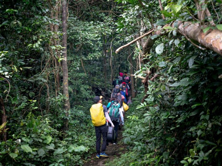 Trekking en la selva
