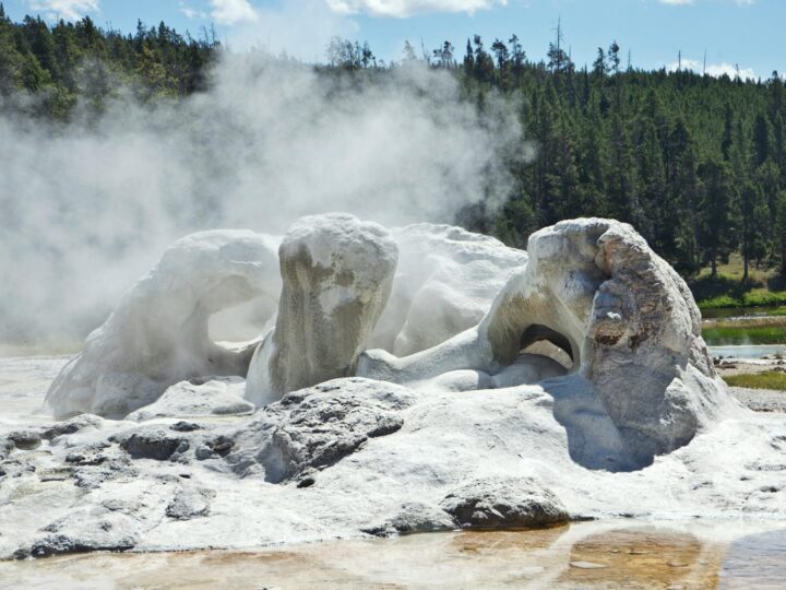 Parque de Aventuras del Bosque Landmark