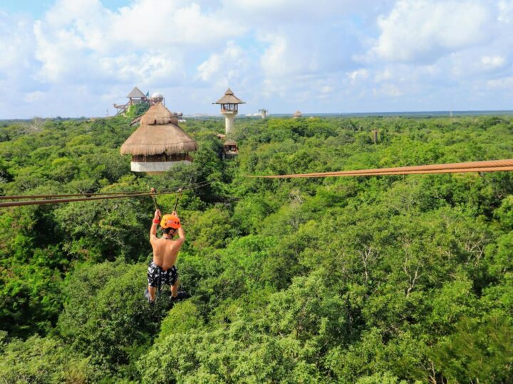 Parque de Aventuras del Bosque Landmark