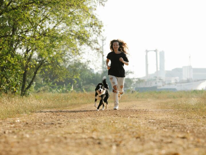 Leavesden Country Park