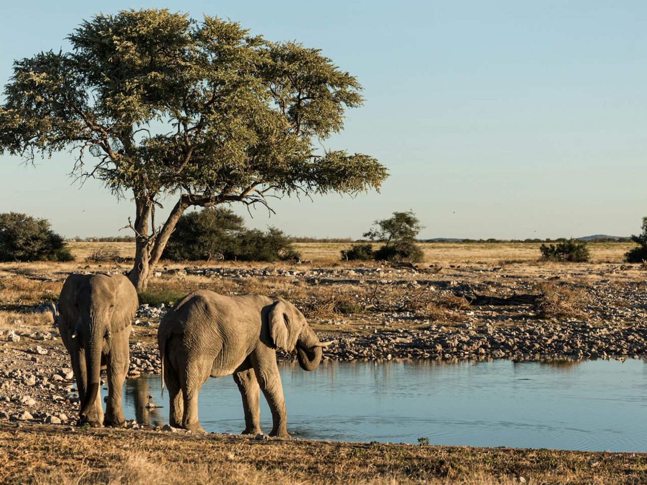 Die 7 besten Dinge, die man in Pescara tun kann 2025 TryTravel