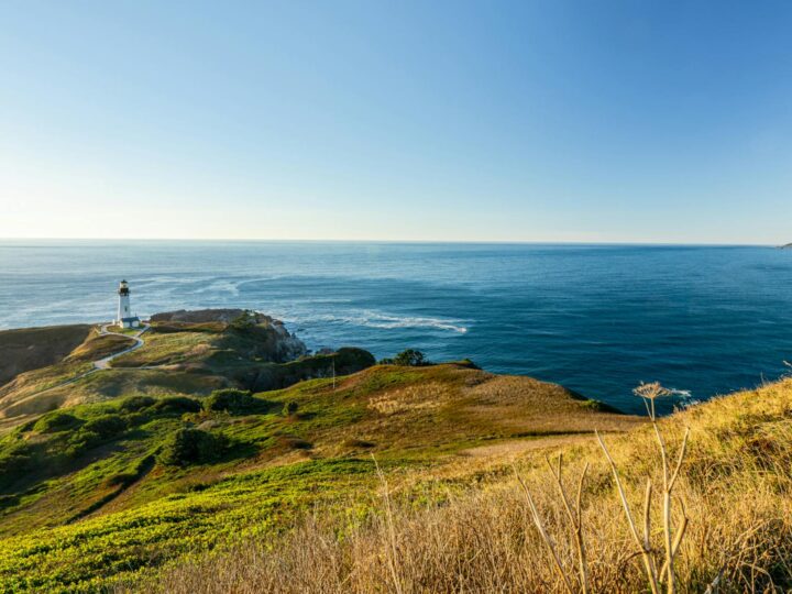 Newport State Park