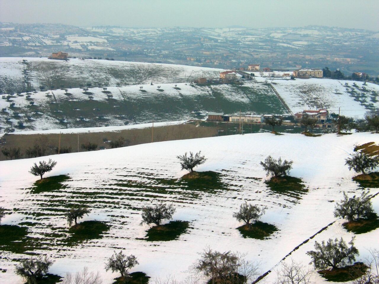 Die 16 besten Dinge, die man in Opole tun kann 2025 TryTravel