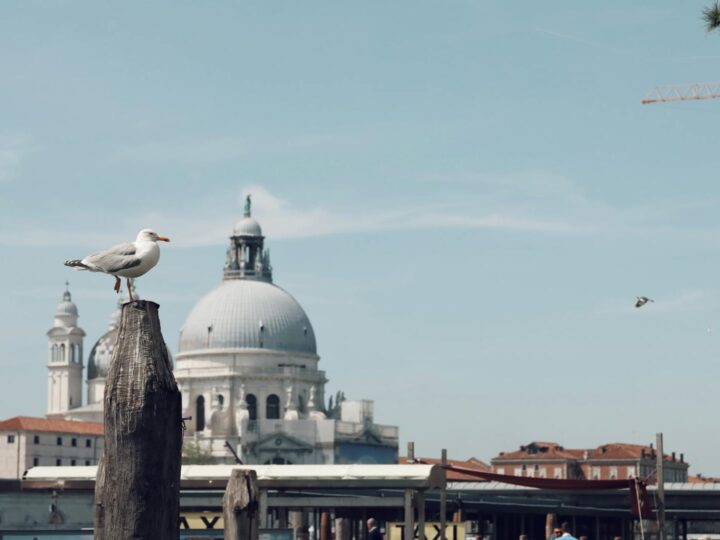 Parco della Trucca
