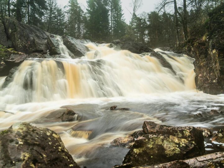 Parco Berg en Bos