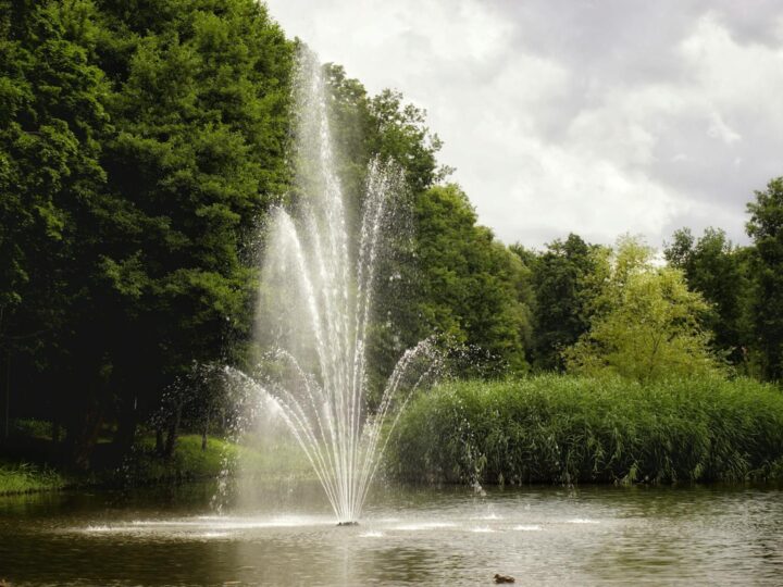 Parque Zielona