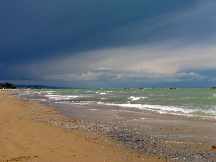 Pineta di Pescara